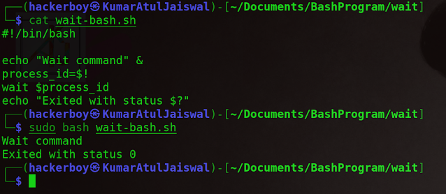 Bash Scripting Wait Command