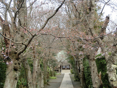  極楽寺