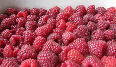 Himbeeren