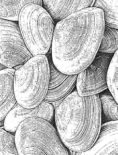 http://techniquejunkies.com/clam-shells/?page_context=search&faceted_search=0