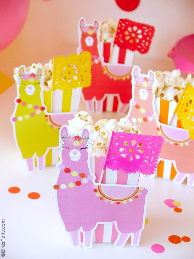 A Llama  Fiesta Birthday  Party  Party  Ideas  Party  