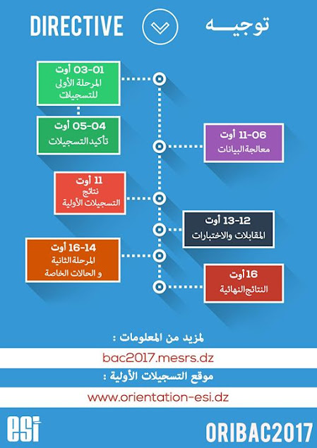 توجيه Directive