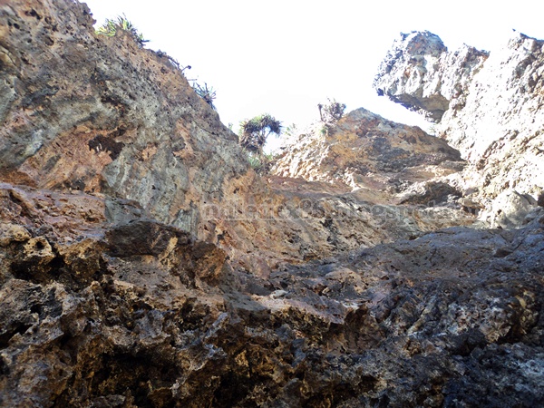 Tebing Pantai Dadapan