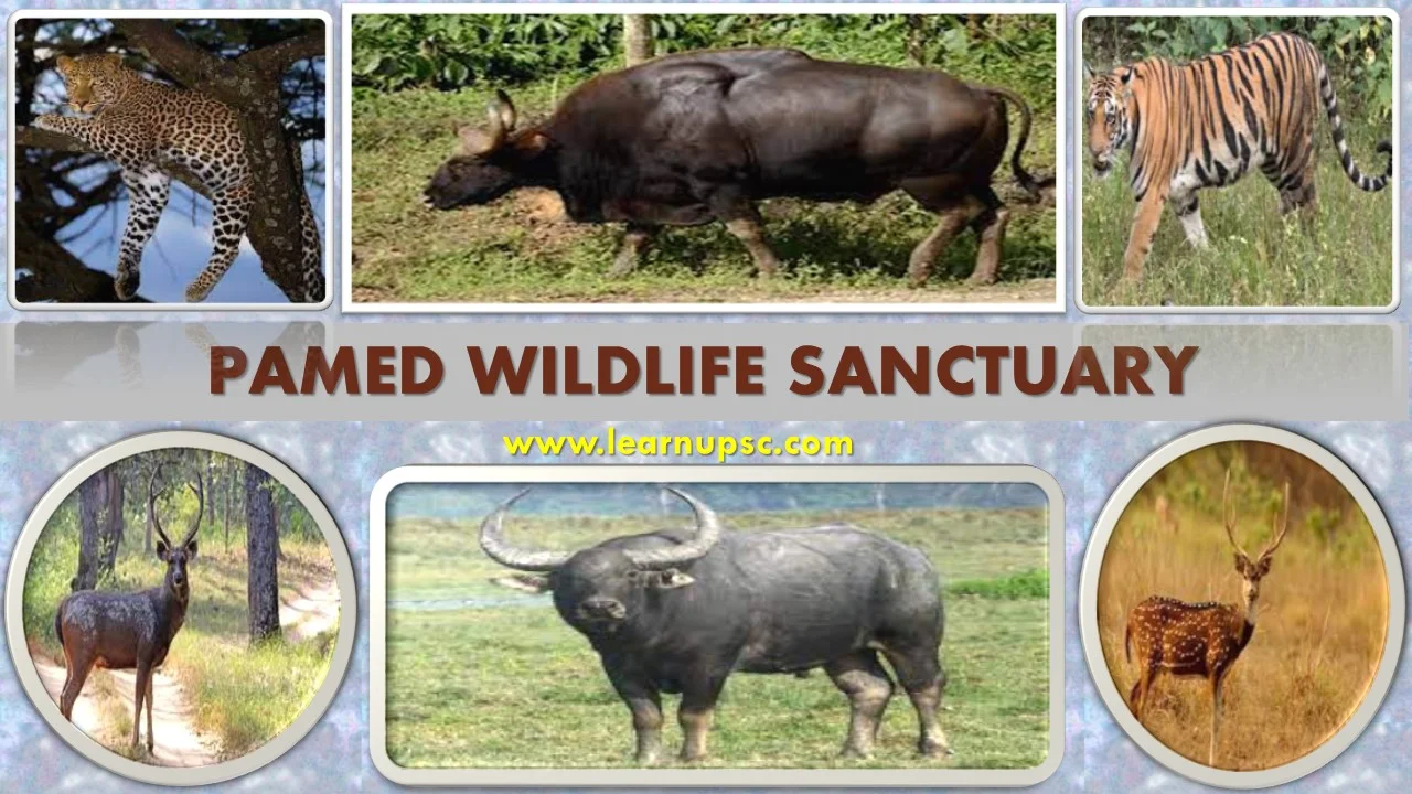 Pamed Wildlife Sanctuary