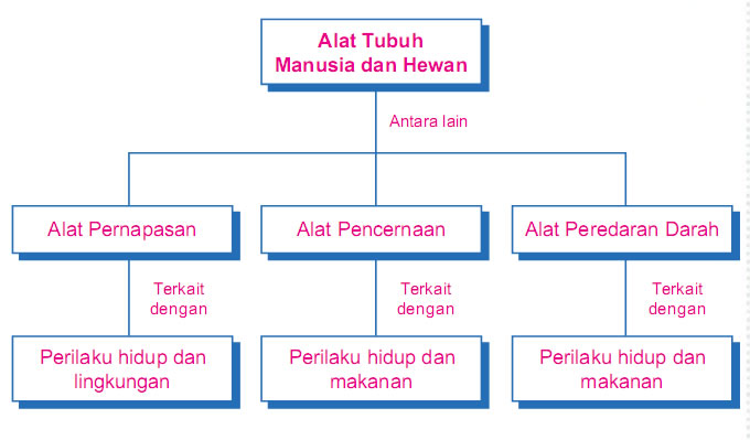 Materi Pelajaran IPA Kelas 5 Sekolah Dasar.  Download 