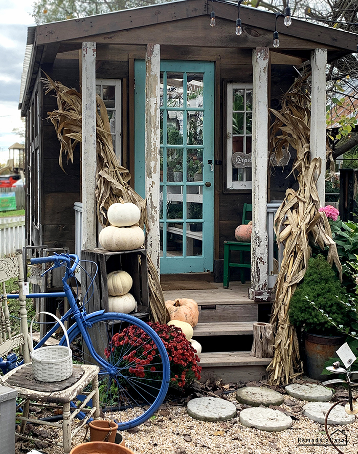 Pumpkins and mums on porch