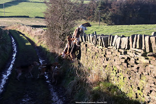 Rockwood Harriers