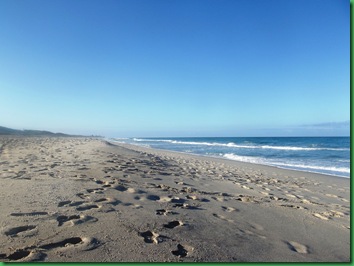 Sebastian Inlet 190