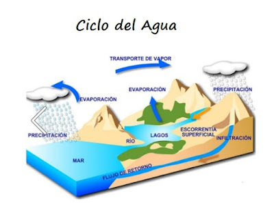 El Ciclo del Agua y sus etapas