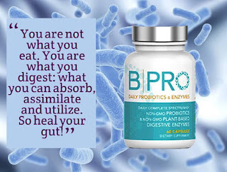 Nutrisail offers BPro to heal your gut & with heart burn - indigestion