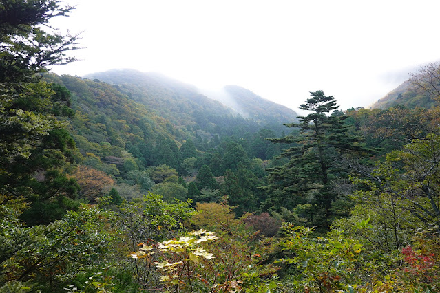 鳥取県西伯郡大山町大山　お里の松からの眺望