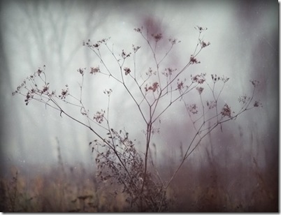 november