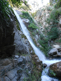 Lewis Falls