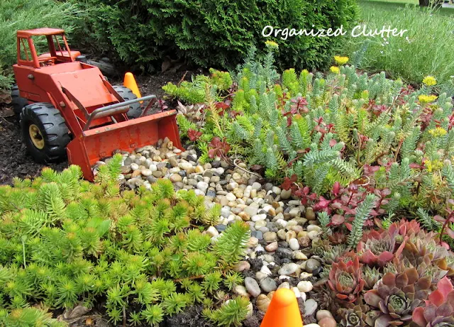 Tonka Front End Loader in a Succulent Garden