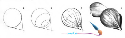 رسم القواكه ,رسم التين بقلم الرصاص