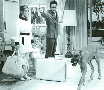 Las Mascotas de Elvis Presley