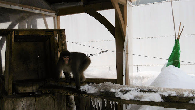 北海道 札幌 ノースサファリサッポロ