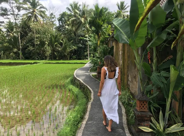 Bali, indonesia: What you need to know before you go