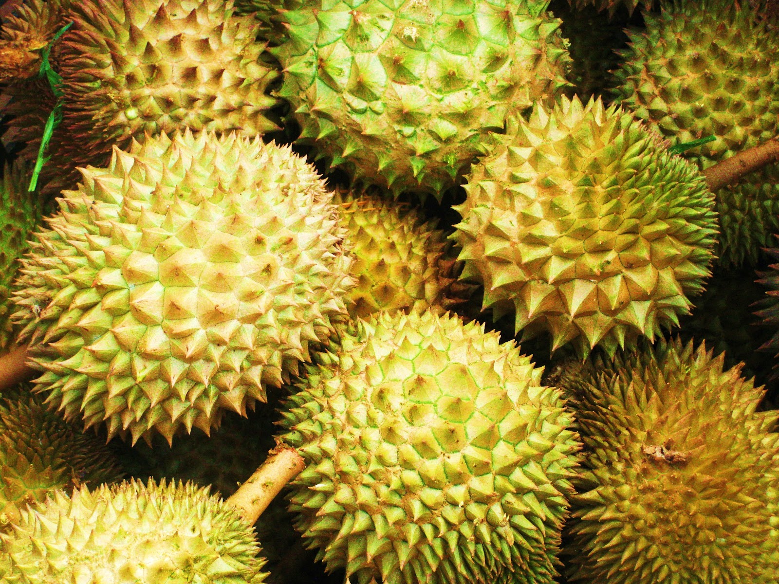 9 Efek Samping Bahaya Makan Buah Durian Bisa Mematikan - HaloSehat