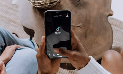 I am a Teenager I Do not use TikTok: Using it to Replace Web Search is a Bad Idea 