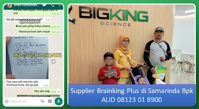 PROMOSI, 08123 01 8900 (Bpk. Alid), Brainking Plus Asli di Samarinda