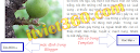 Xóa chữ "đọc thêm..." mặc định ngoài trang chủ và trang Label blogspot