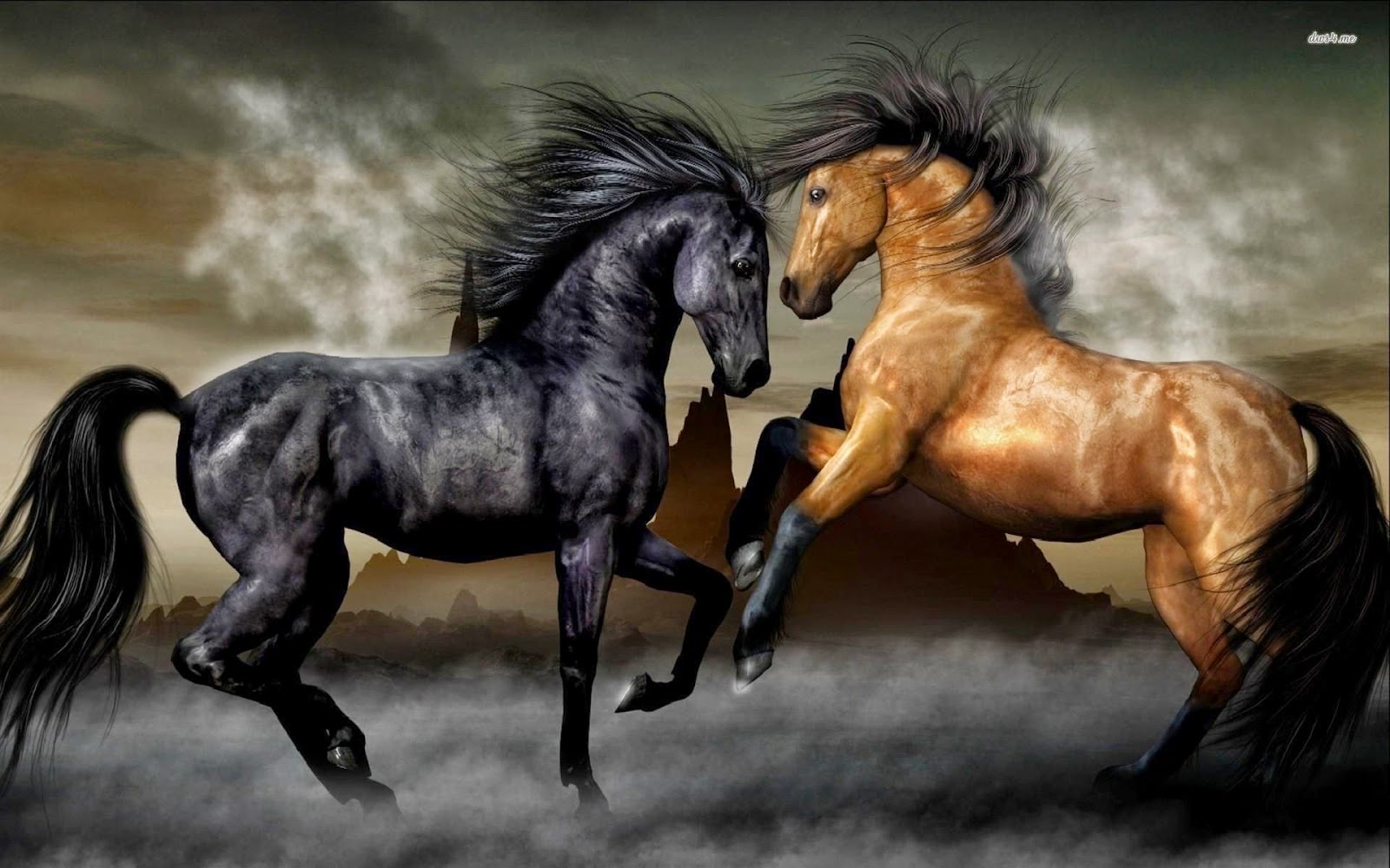 Cavalos Wallpapers em HD