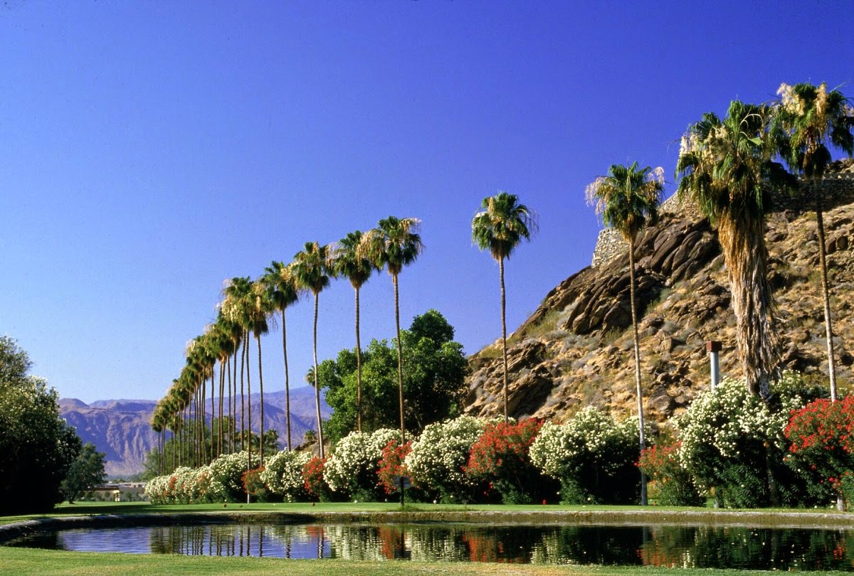 Palm Springs, California Vacations Pictures