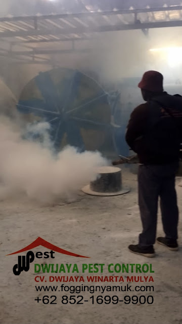 JASA FOGGING NYAMUK