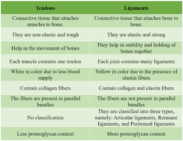 what is the difference between tendons and ligaments