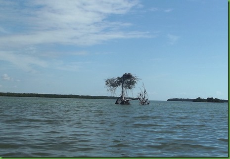 PM Florida Bay (22)