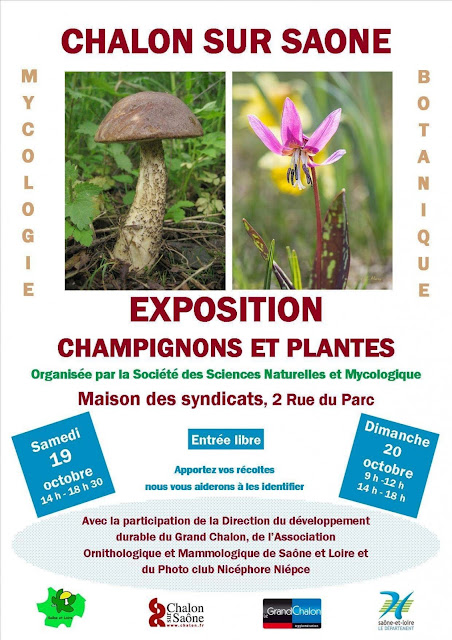 Exposition de champignons et plantes Chalon-sur-Saône 2019