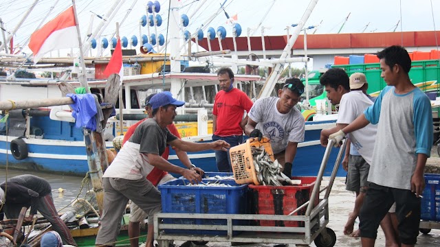 KKP Optimalkan Pelayanan di Pelabuhan Perikanan