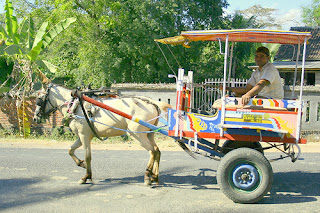 tour lombok, wisata lombok, trip lombok, travel lombok murah, honeymoon lombok, wisata budaya lombok