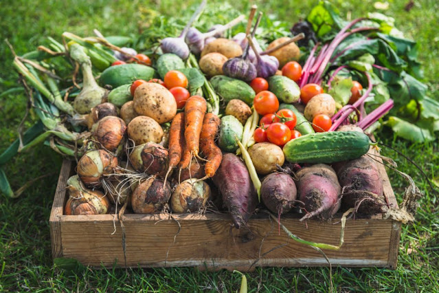 Vegetable Gardening