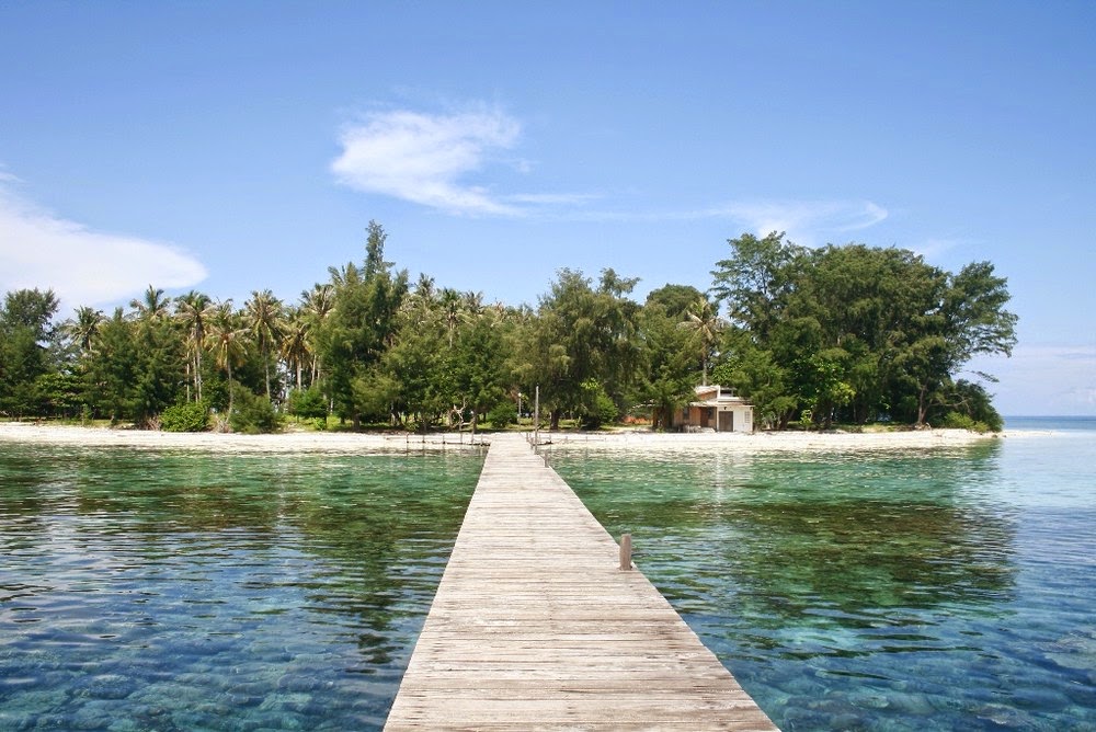 hiu, pulau nanhijau yang begitu kontras dengan putihnya pantai dan 