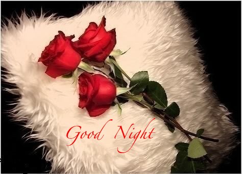 good night rose gif image