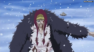 ワンピースアニメ ドレスローザ編 705話 コラソン ロシナンテ Rosinante | ONE PIECE Episode 705