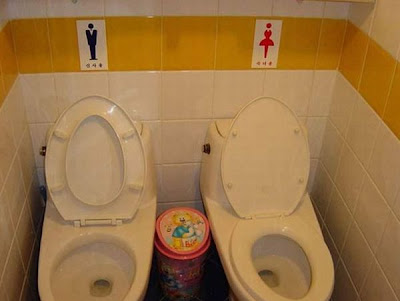 unusual toilets