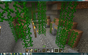 My Minecraft