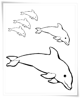 Ausmalbilder Delfine Kostenlos