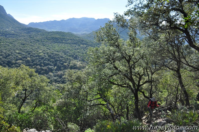 Cerros Albarracinejo-Peñuelas-Ponce-Albarracin y Alto del Puntal