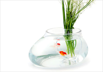 14 Creative and Cool Fishbowl Designs (14) 5