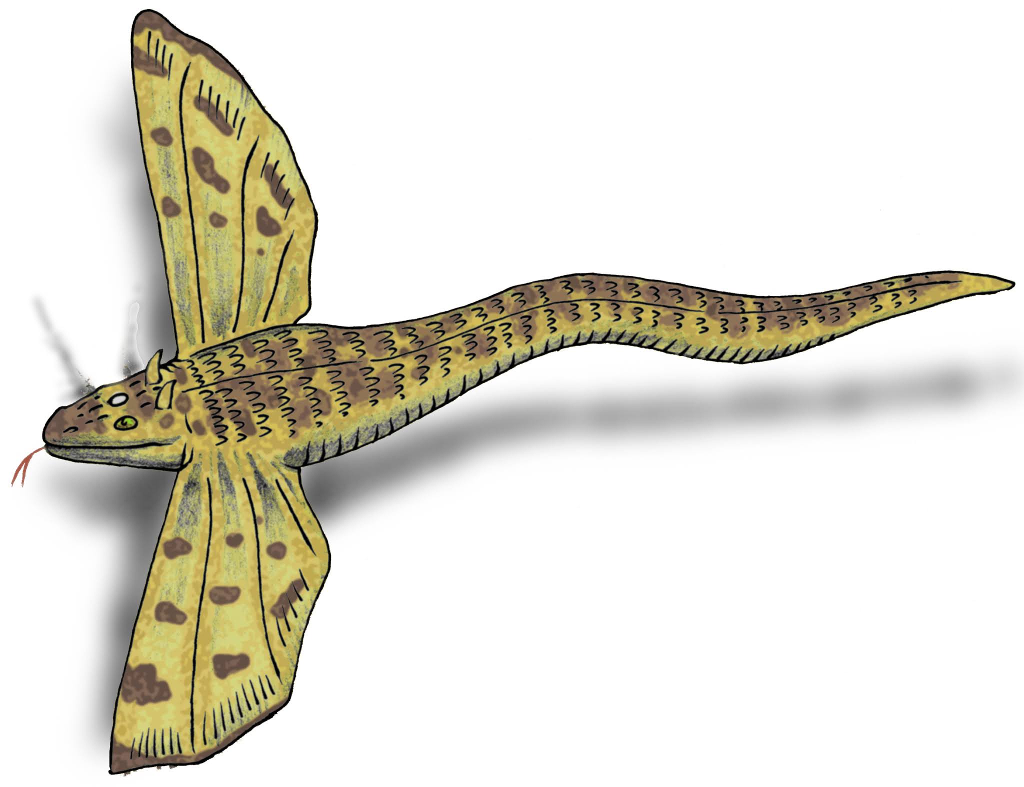 Snakes with Wings and Gold-digging Ants: Herodotus: 0141025336