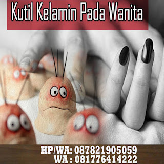 Obat Kutil Kelamin