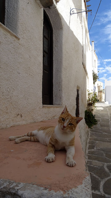 les cyclades, les iles cyclades