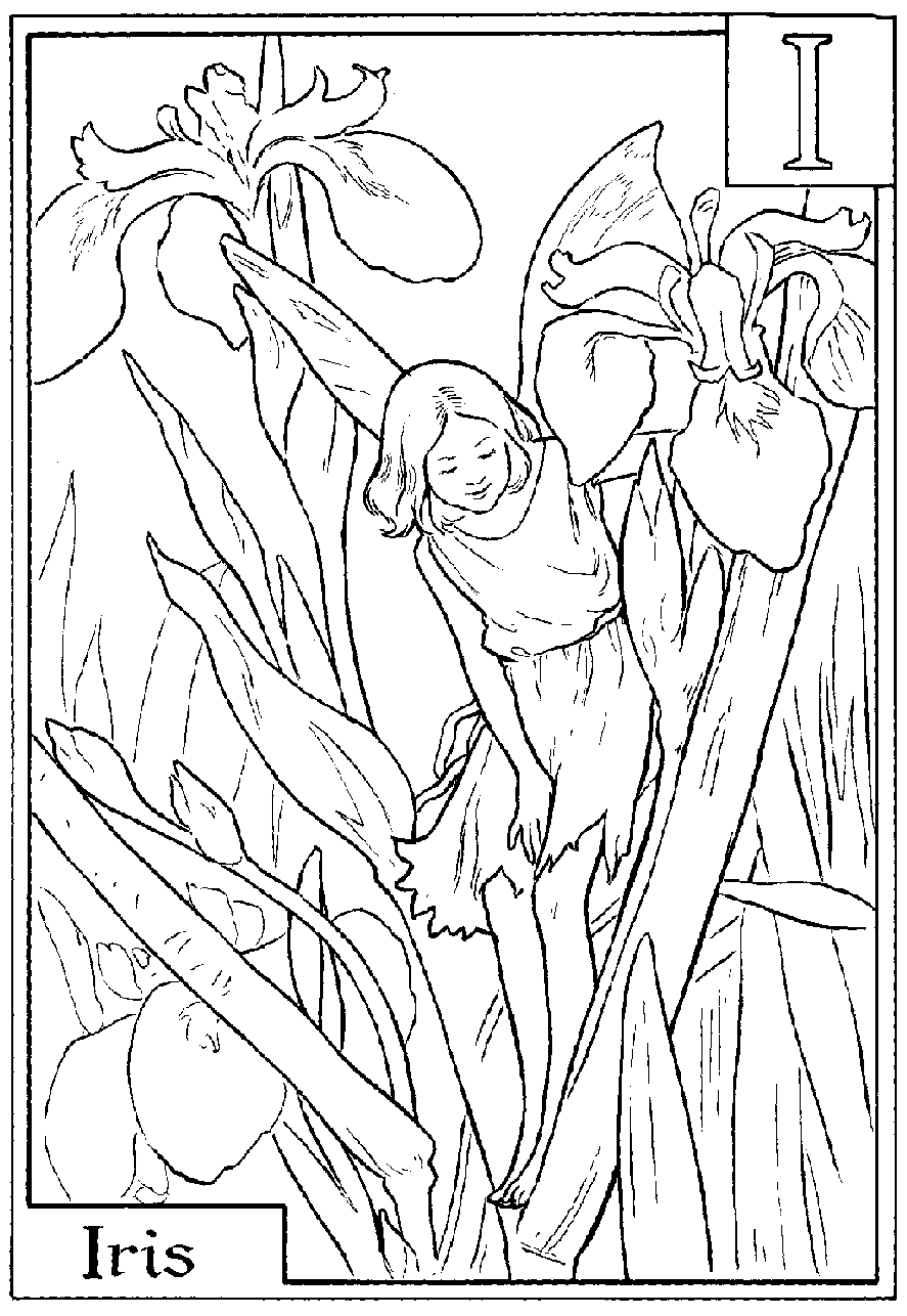 flower fairy coloring picture