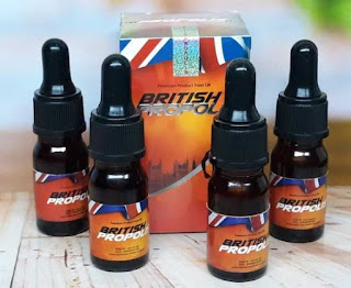 Manfaat British Propolis untuk asam lambung dan asam urat