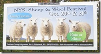 sheep_and_wool