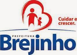 REVEILLON NA CIDADE DE BREJINHO 2015